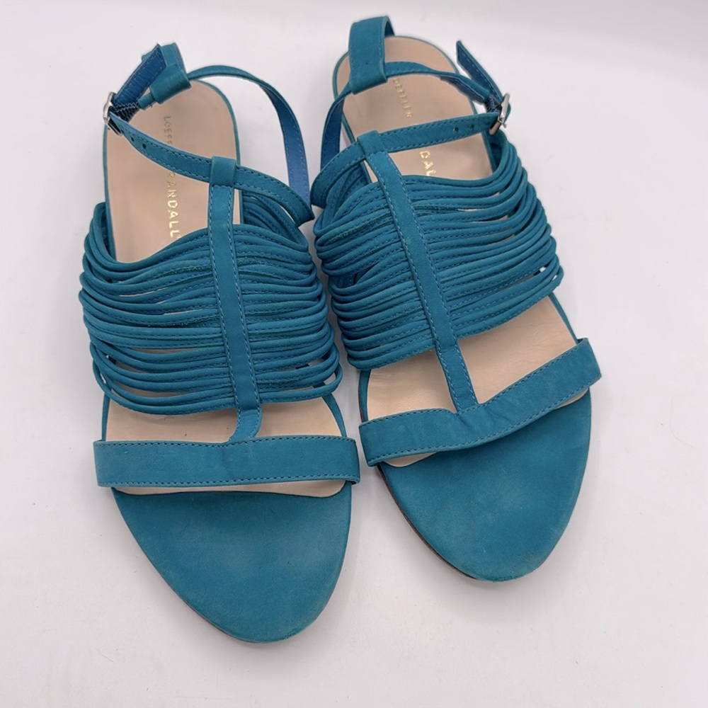 Loeffler Randall Blue Suede Sandals 8.5b but seems to run small.